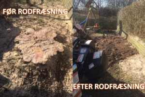 rodfræsning rodfræsning